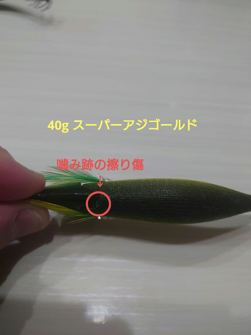 エギリー・ダートマックスTR 40g&30g 5本セット