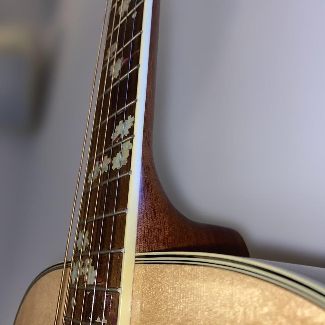 ギター YAMAHA FG730S