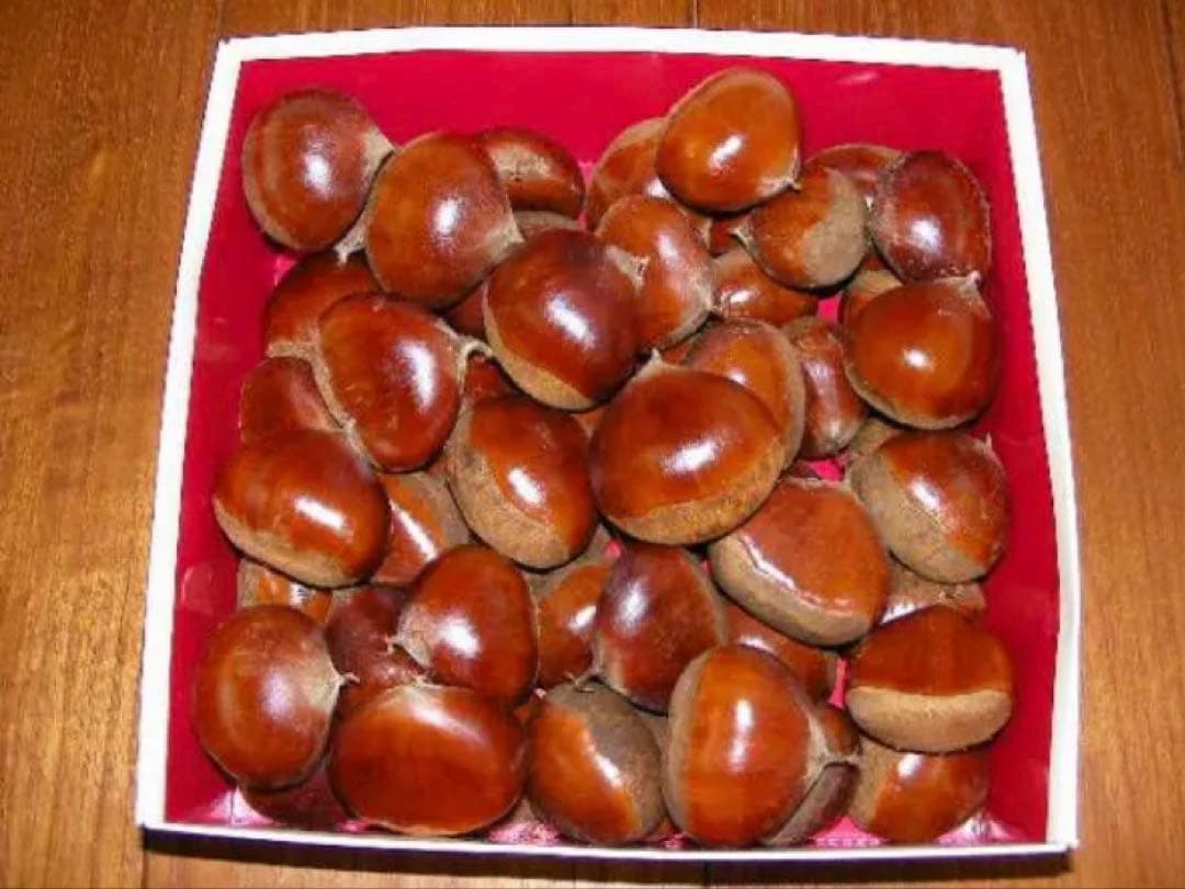栗　大粒！幅40mm程度サイズ3.6k　無燻蒸で熟成させた　生栗！　クリ　くり