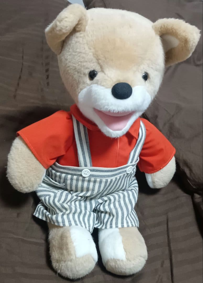 こんとあき　Mサイズ