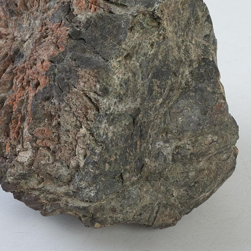 鑑賞石　天然石　菊花石　置物　台付　Z　9752