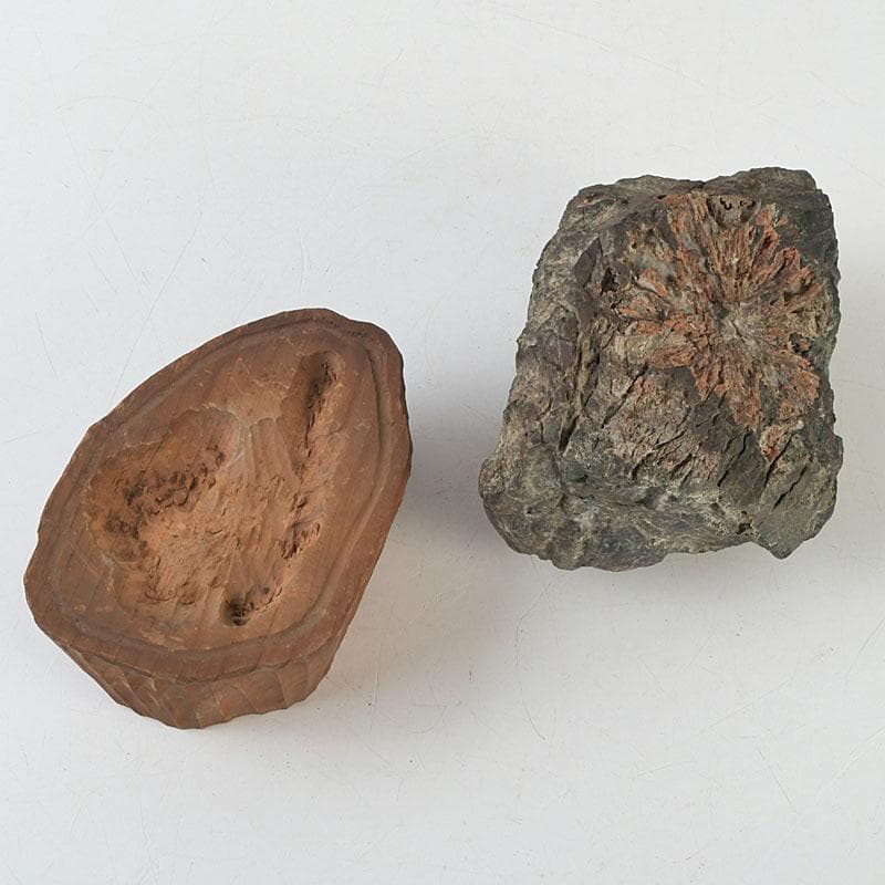 鑑賞石　天然石　菊花石　置物　台付　Z　9752