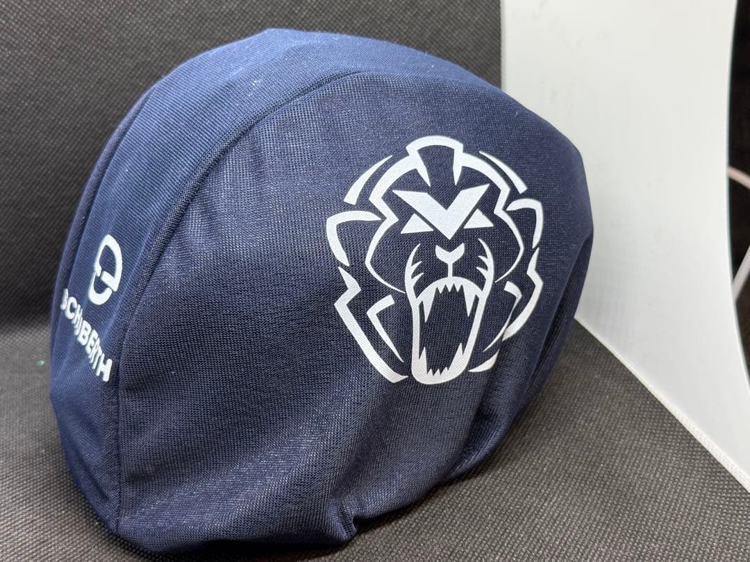 1/2ヘルメット レッドブル M.フェルスタッペン 2024 チャンピオン仕様