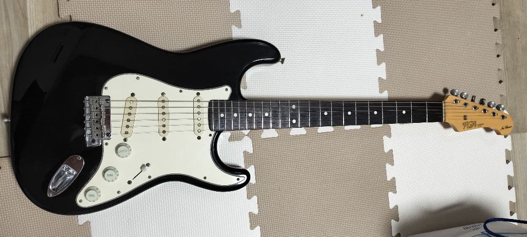 ギター Fujigen Neo Classic Series NCST-20R