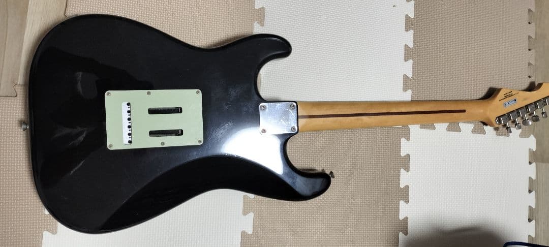 ギター Fujigen Neo Classic Series NCST-20R