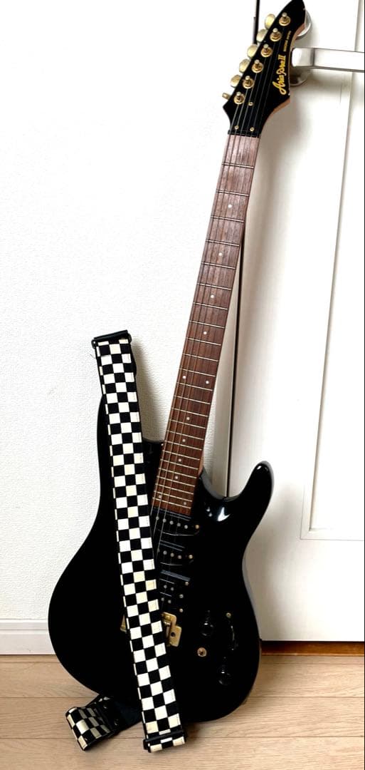 【カバー付き】Aria ProⅡ アリアプロ