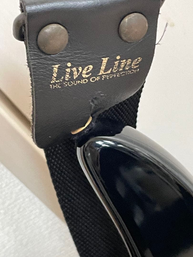 【カバー付き】Aria ProⅡ アリアプロ