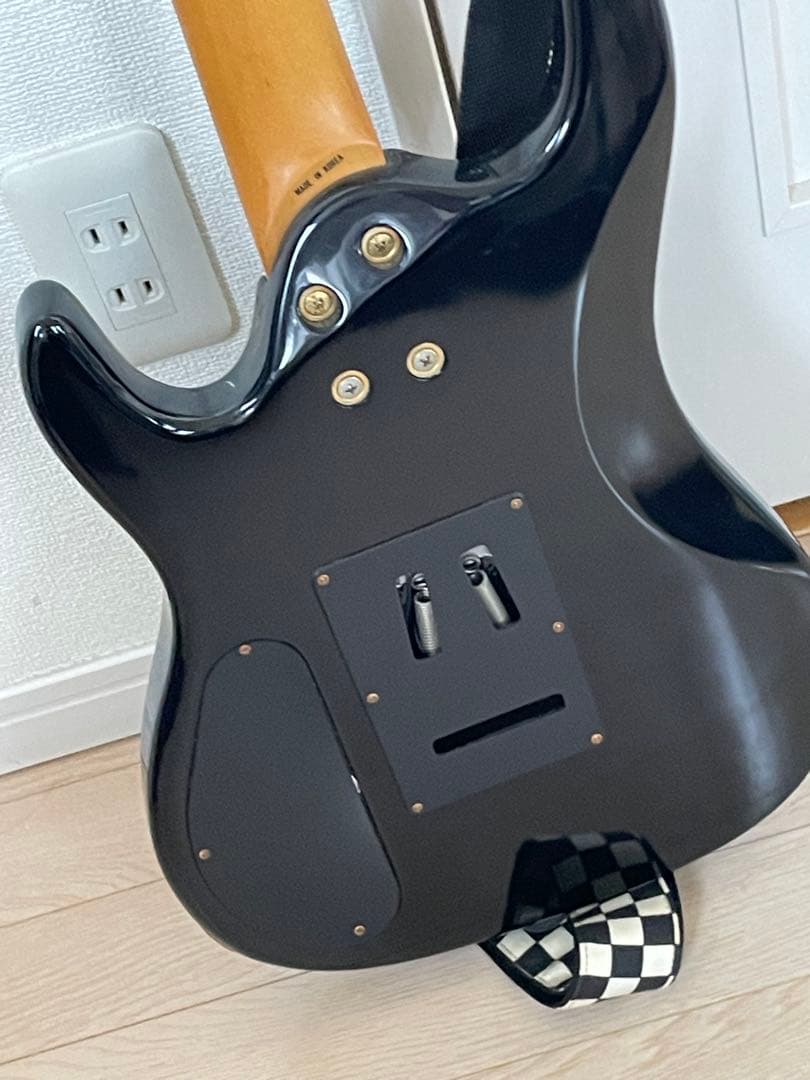 【カバー付き】Aria ProⅡ アリアプロ