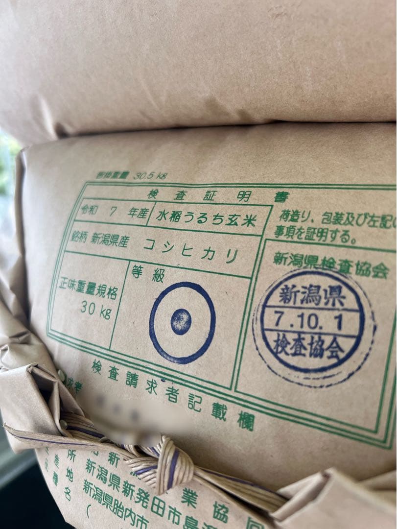 【令和7年産】【一等米】新潟県産従来品種コシヒカリ精米(白米)10kg B③
