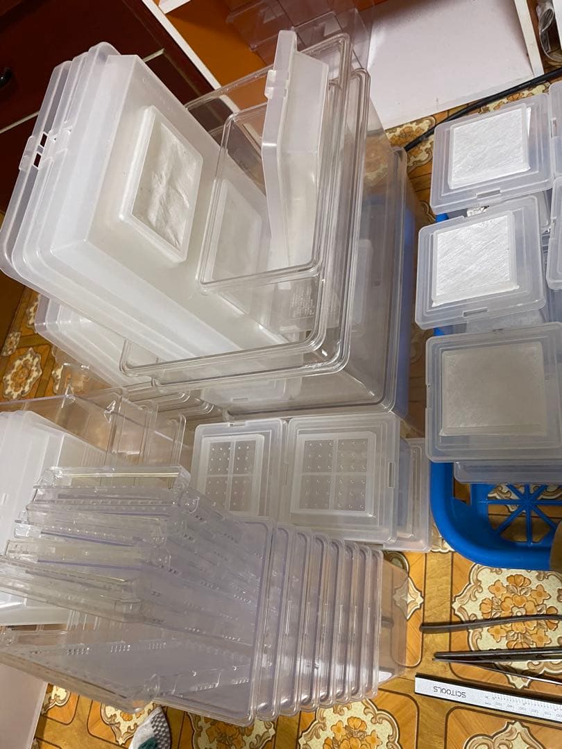 飼育ケース　飼育用品　大量