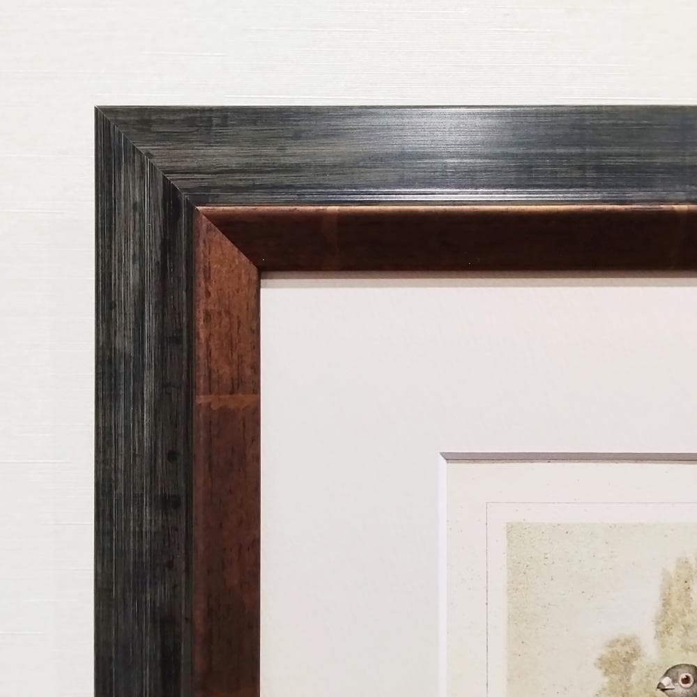 ハトの図版　アンティーク版画　マイヤー百科事典　ドイツ　リトグラフ　鳩　額付