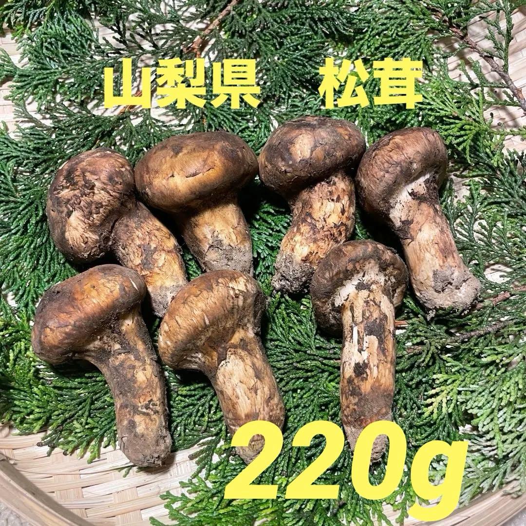 国産松茸　山梨産　約220g