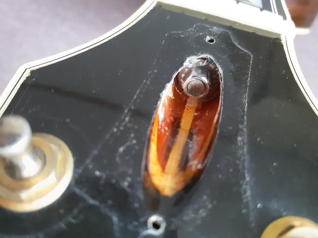 オ*ン様 Guild社製 稀代の名器 F50R NT 期間限定最終競売を実施いた