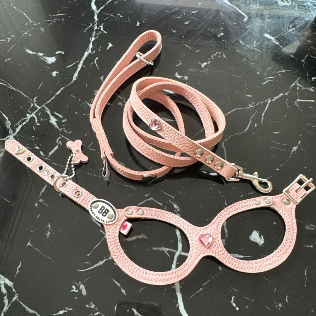 ❁ Lav ❁ バディーベルト　 ハーネスとリード ４点セット