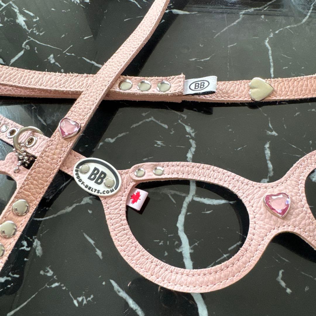 ❁ Lav ❁ バディーベルト　 ハーネスとリード ４点セット