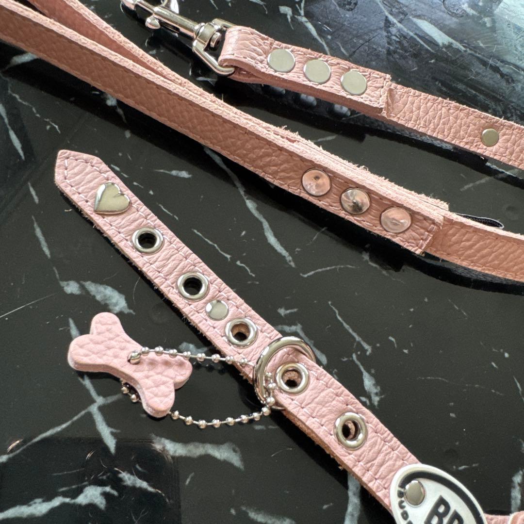 ❁ Lav ❁ バディーベルト　 ハーネスとリード ４点セット