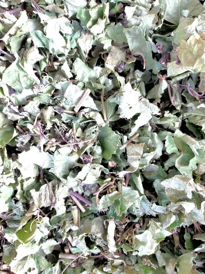 P　500g✕2袋　&　1kg✕1袋 大量の為お値引きさせて頂きました。