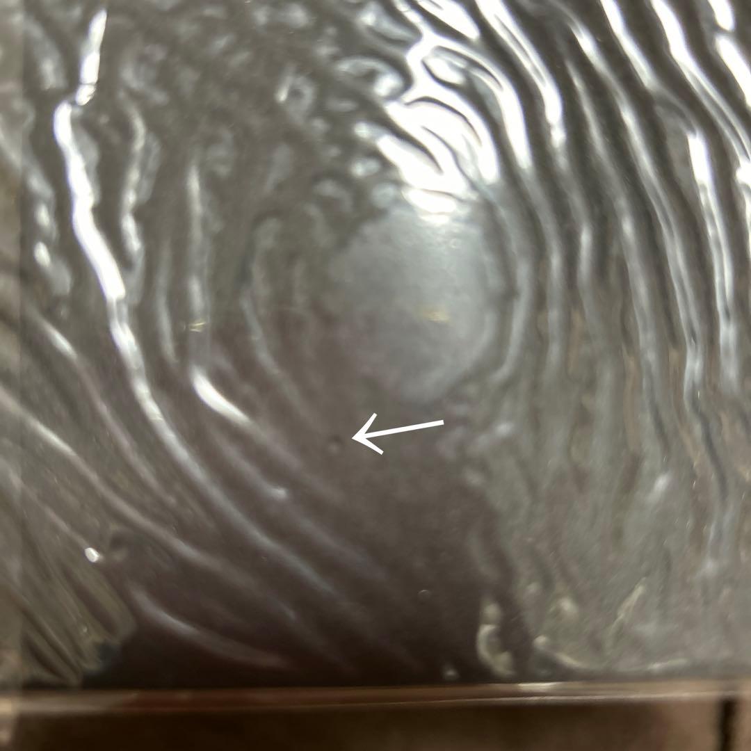 【超レア】 ポケモンセンターオンライン ポケドール マウスパッド