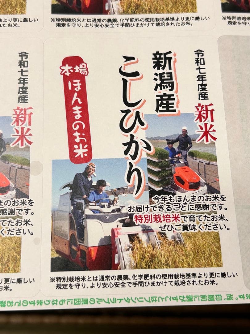 令和7年度産 コシヒカリ玄米 30kg