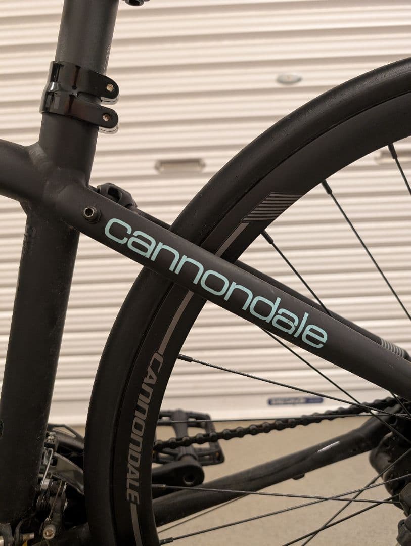 ★BAD GIRL★直接引取り希望★