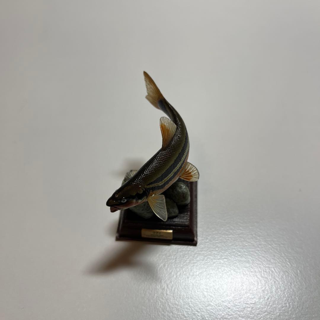 ネイチャーテクニカラー　日本の清流　ニッコウイワナ　ウグイ