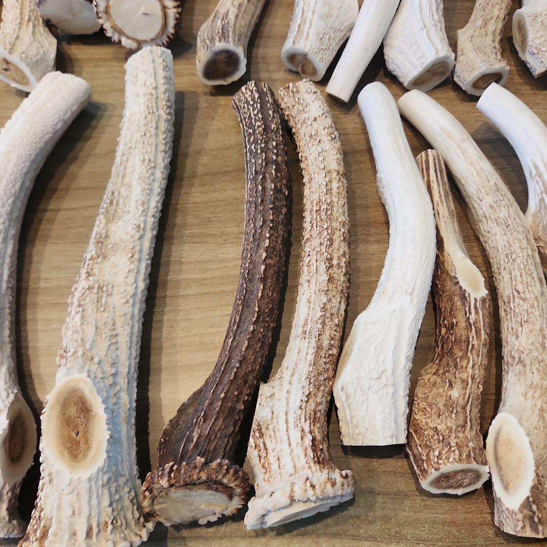 鹿の角　ランダム５kgセット