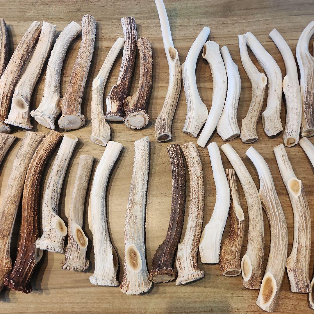 鹿の角　ランダム５kgセット