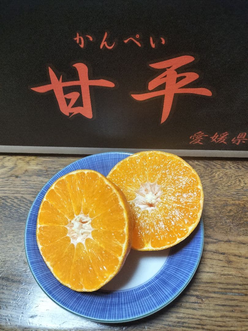 甘平　4L 秀品　箱込み10Kg　愛媛県松山市産