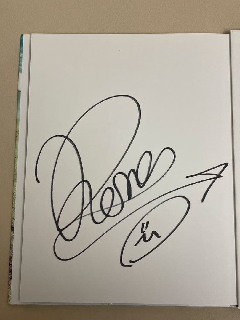 田中麗奈　抽プレ　サイン入り映画　よなよなペンギン　パンフレット、写真集、切取り