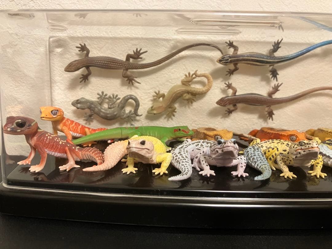 ネイチャーテクニカラー　トカゲ　ヤモリ大全　ガチャガチャ