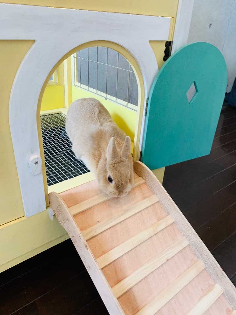 ぱ*お様 【もちつき】壱番館　北欧デザインペットハウス　うさぎ用ケージ　可愛い