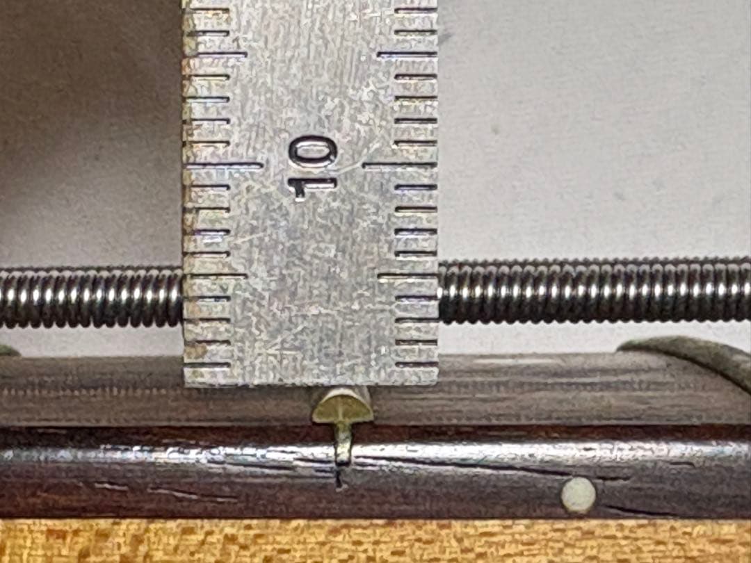 Fernandes エレキベース　ソフトケース付き　良品1905-02-1