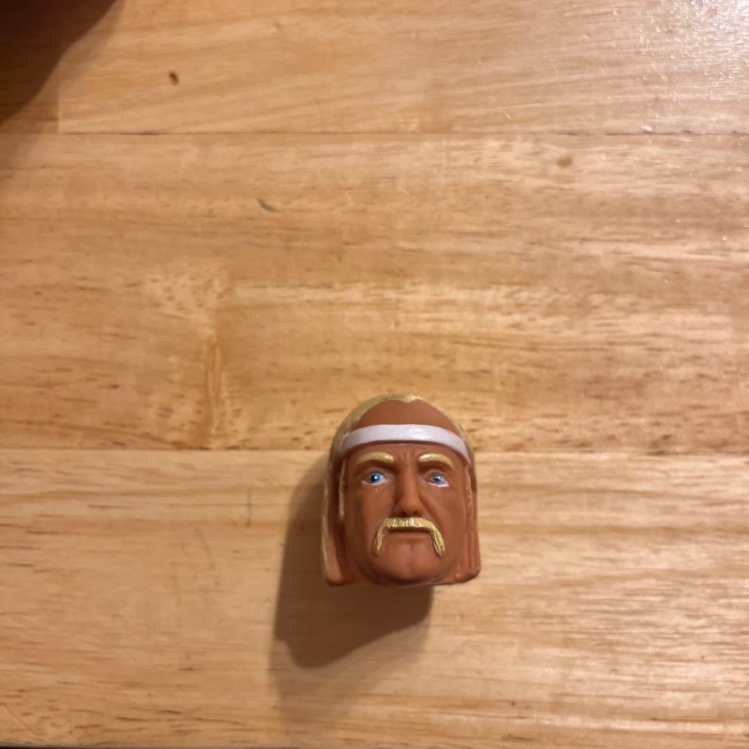 希少　HULKAMANIA ハルクホーガン　プロレス　WWF WWE