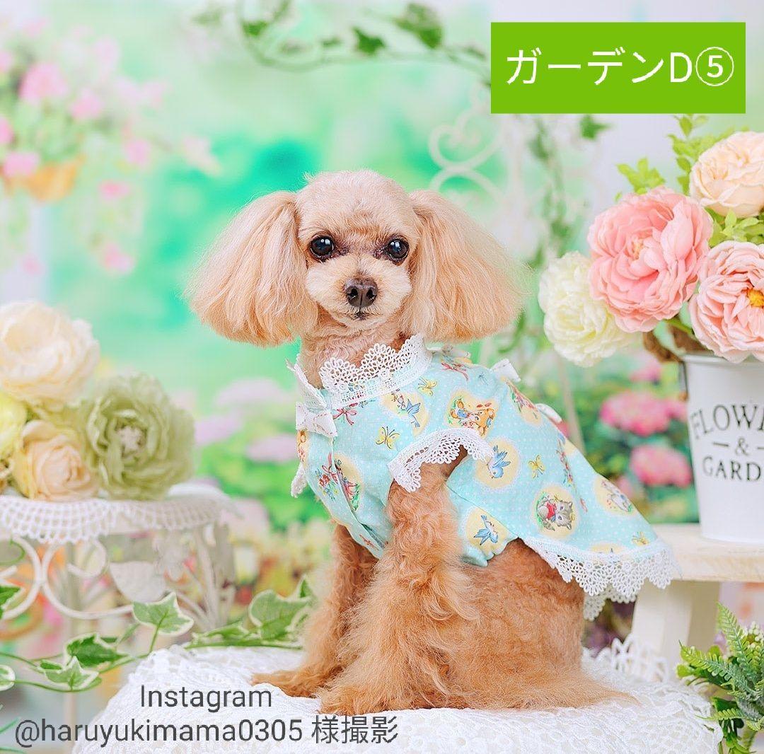 背景布【　ガーデンL　】ニューボーンフォト、ペット、キッズ、ドール撮影用