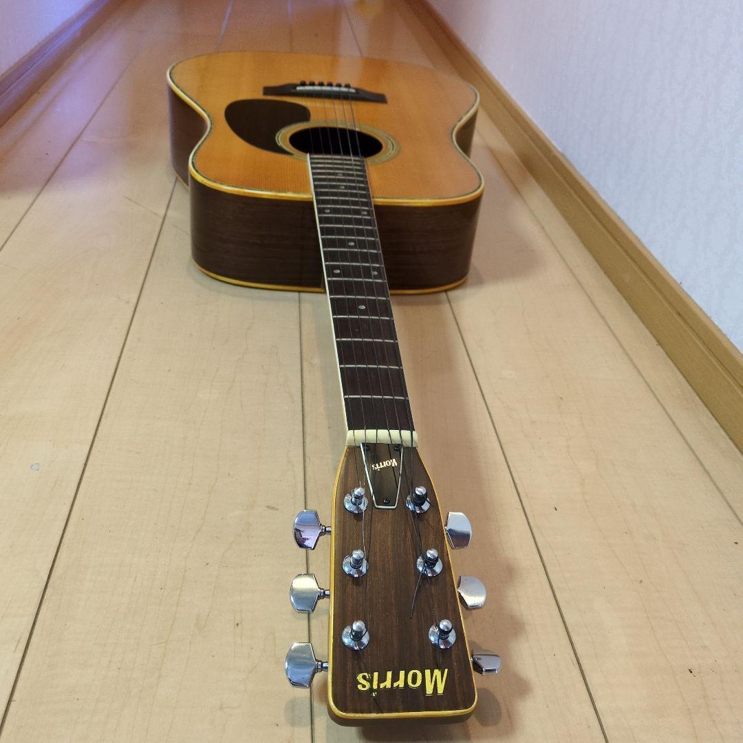 Morris アコースティックギター W-25