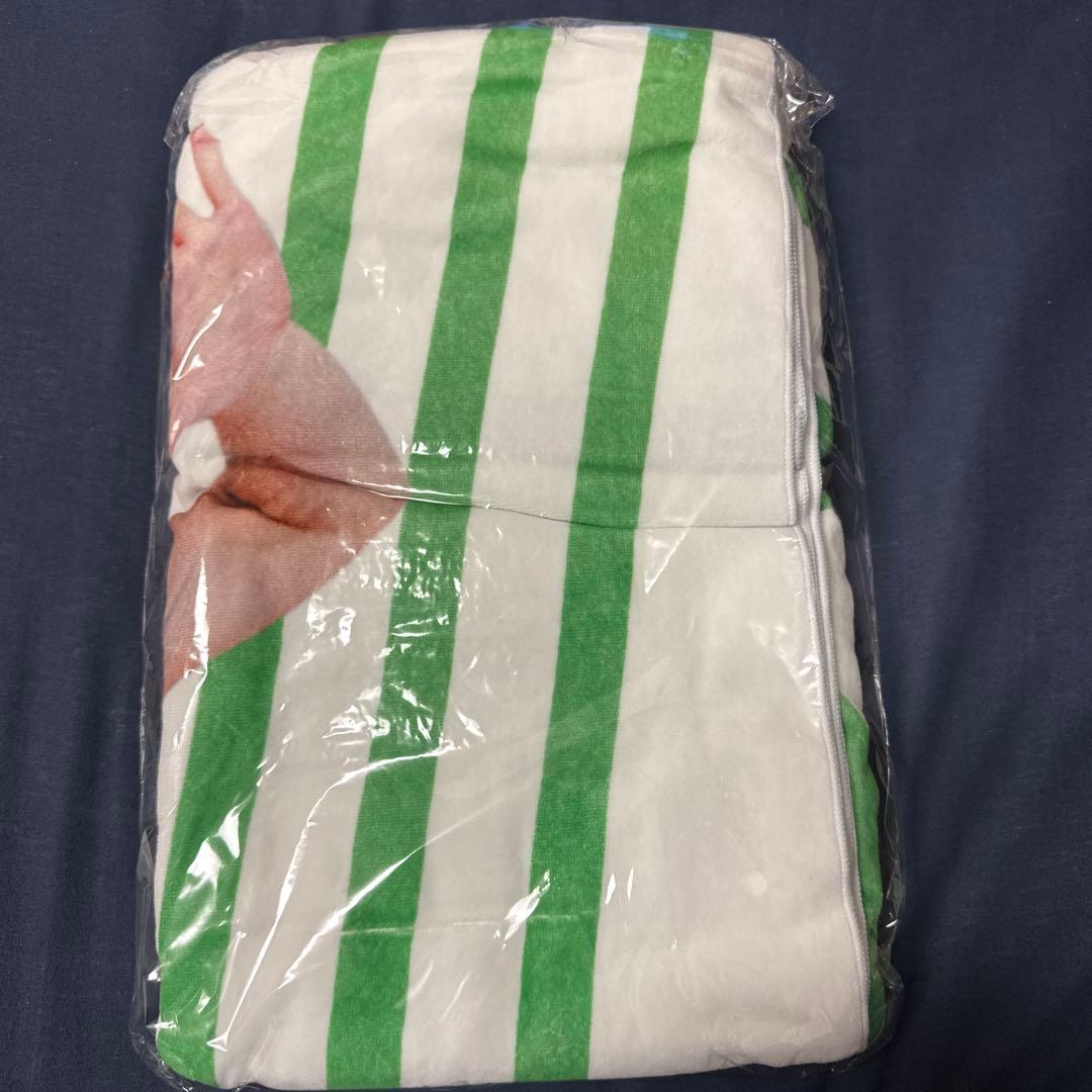 根本凪【等身大タオル】ねもぺろ 写真展 でんぱ組.inc 虹のコンキスタドール