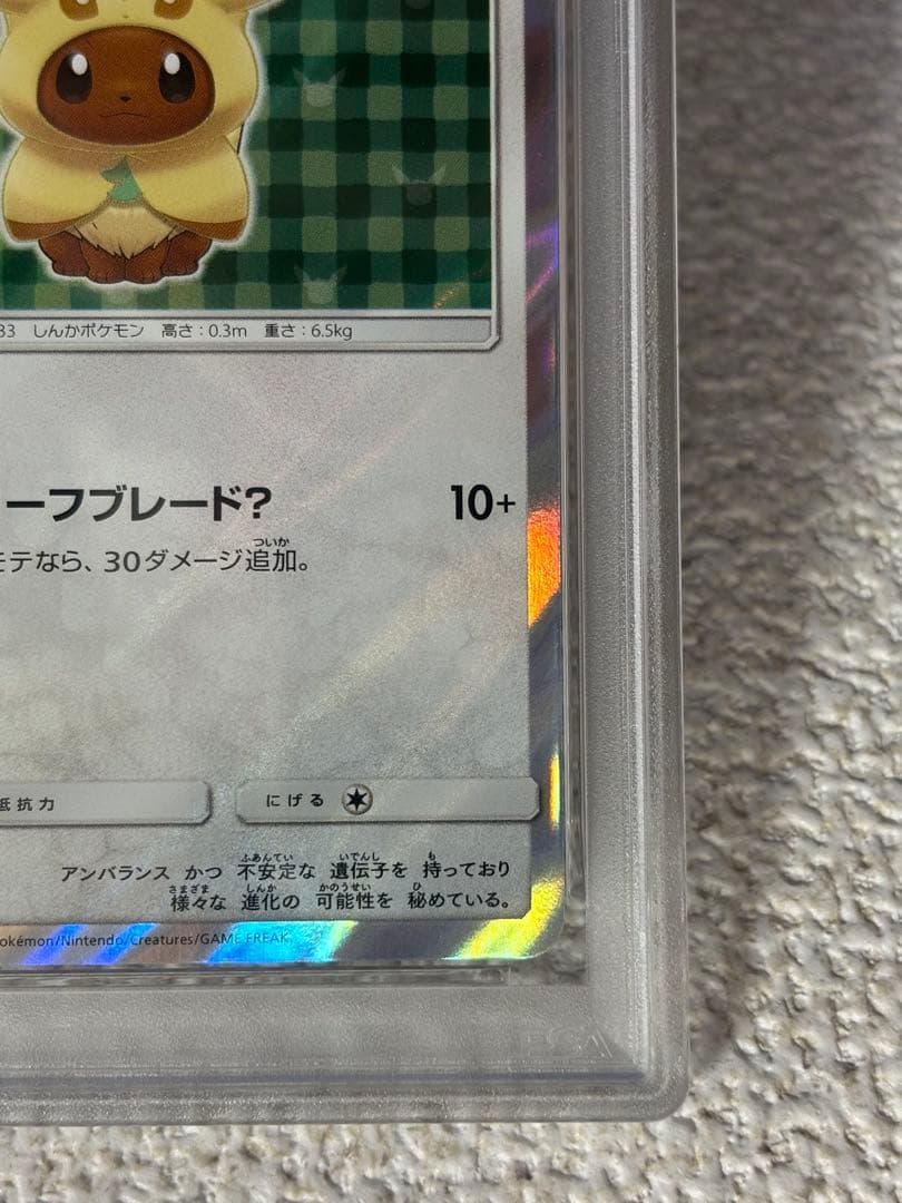 ●早い者勝ち●ポンチョを着たイーブイ　リーフィア　PSA9 ポケモンカード