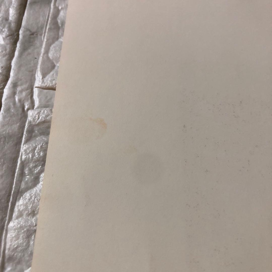 激レア ルマン24 1991 プジョー905 トヨタ マツダ ダニエル・ピコ 絵