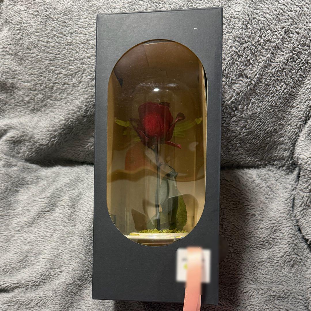 BIGBANG G-DRAGON オフィシャル出待ち　プレゼントのバラ