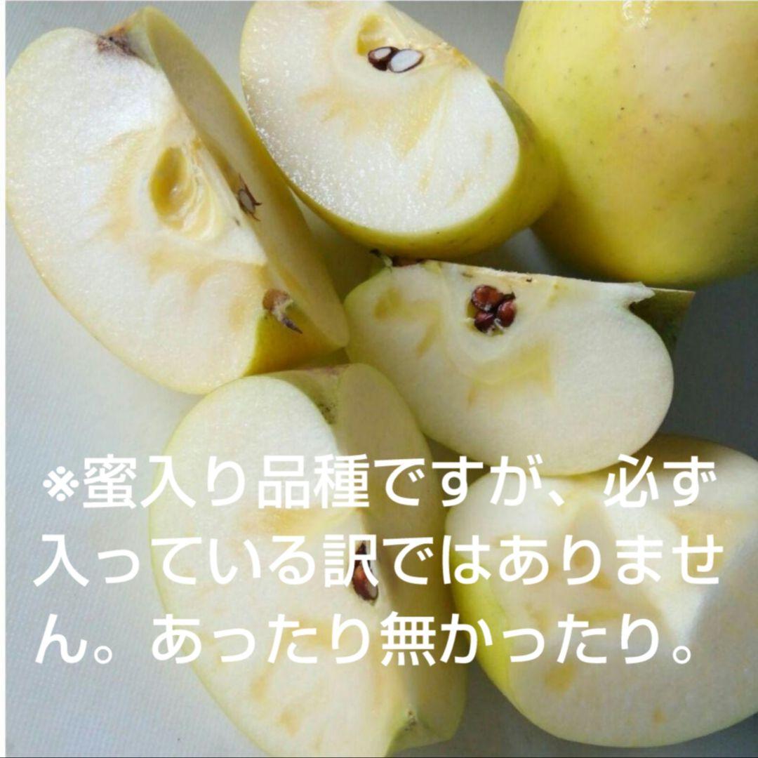 お得10k　ぐんま名月　じぃじの美味しい林檎