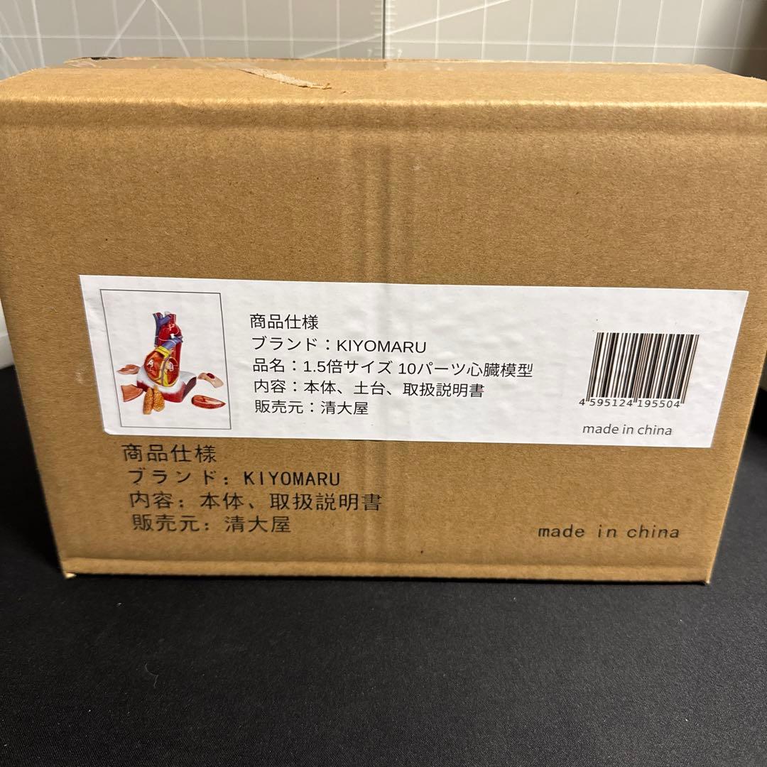 KIYOMARU 心臓模型 1.5倍大 10パーツ分解人体模型