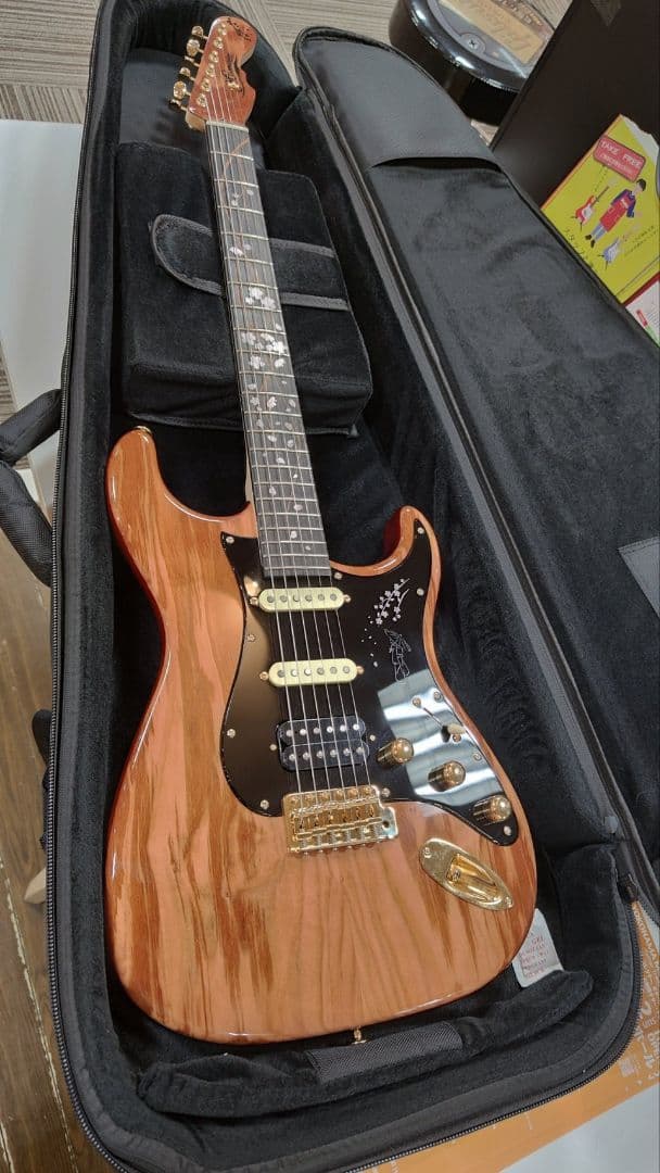 momose sakura エレキギター ハードケース付き