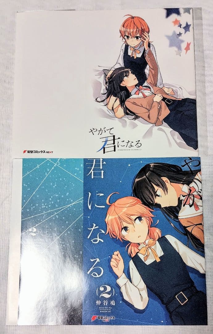 新品 やがて君になる ブックカバー 2種