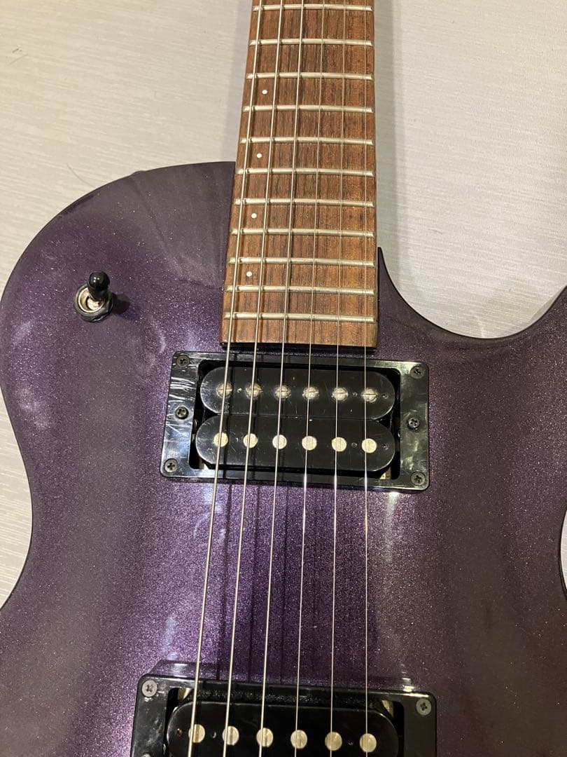 FERNANDES RE-95G CRAZE 瀧川一郎モデル