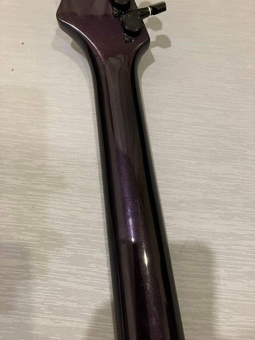 FERNANDES RE-95G CRAZE 瀧川一郎モデル