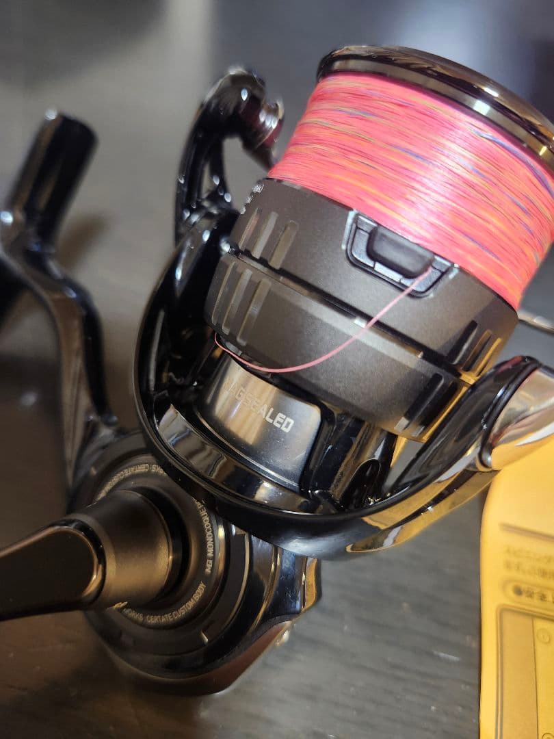 セルテート　カスタムボディCERTATE LT2500-H-SLPW