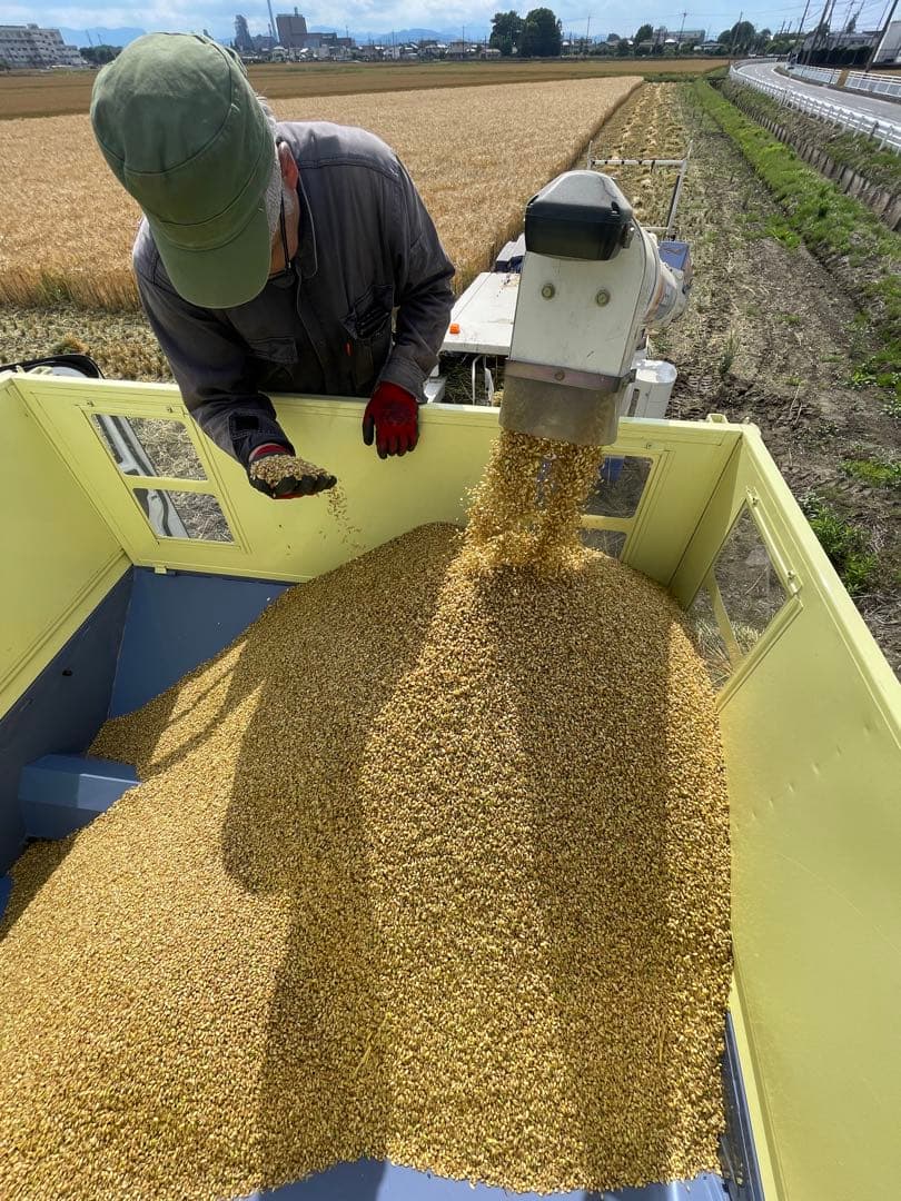 送料込み！10kg もち麦　キラリモチ　大麦　健康