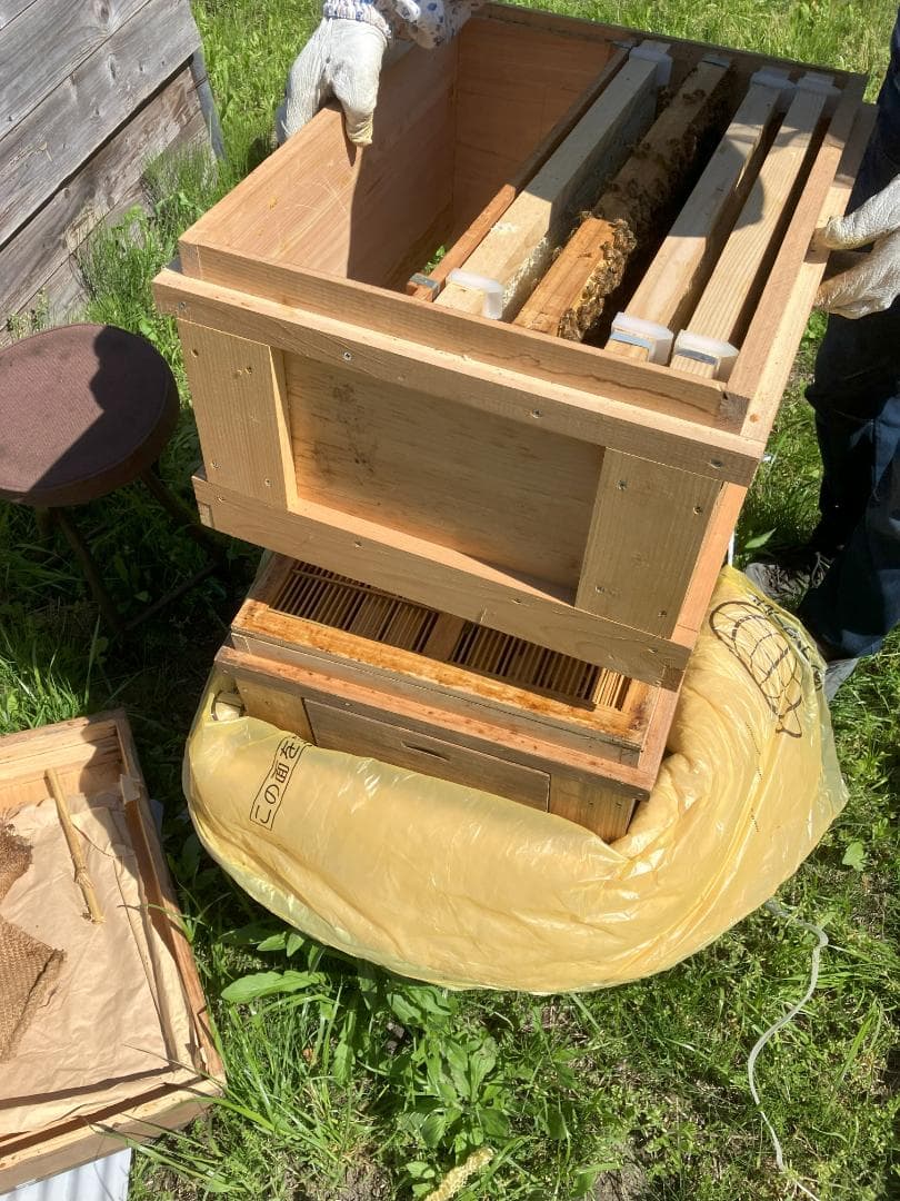 国産蜂蜜 信州産 1000g 3本セット アカシア蜂蜜 百花蜜 栗蜜