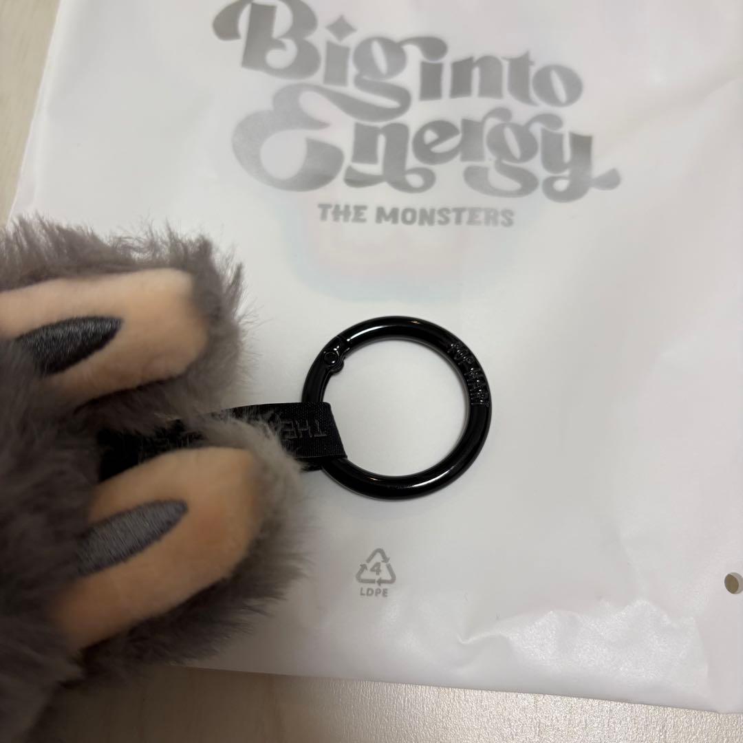 【正規品】ラブブ エナジー Big into Energy シークレット