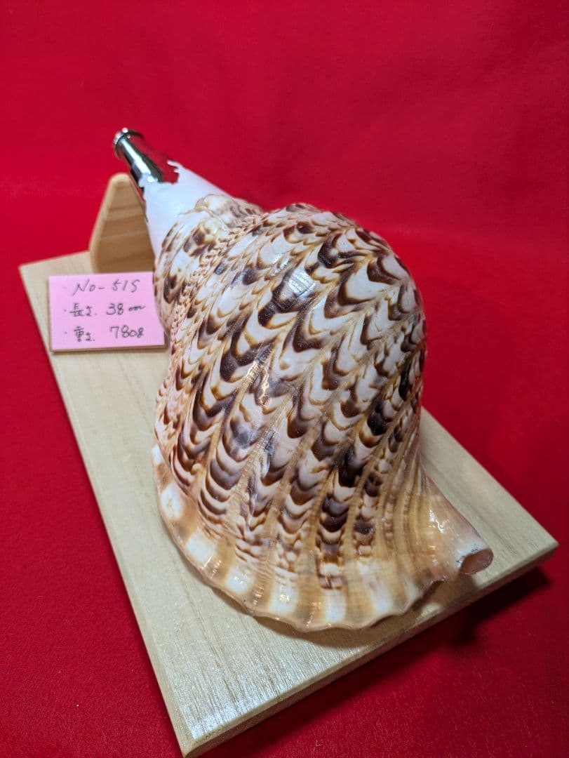 法螺貝ＮＯ−５１Ｓ ホラ貝、和楽器、和太鼓 修験道
